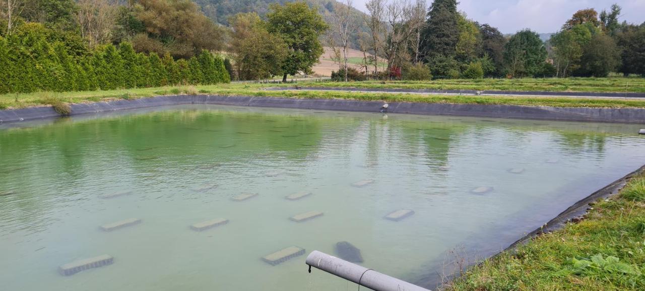 Le Moulin Aux Ecrevisses Bed & Breakfast Thonnance-lès-Joinville Екстериор снимка