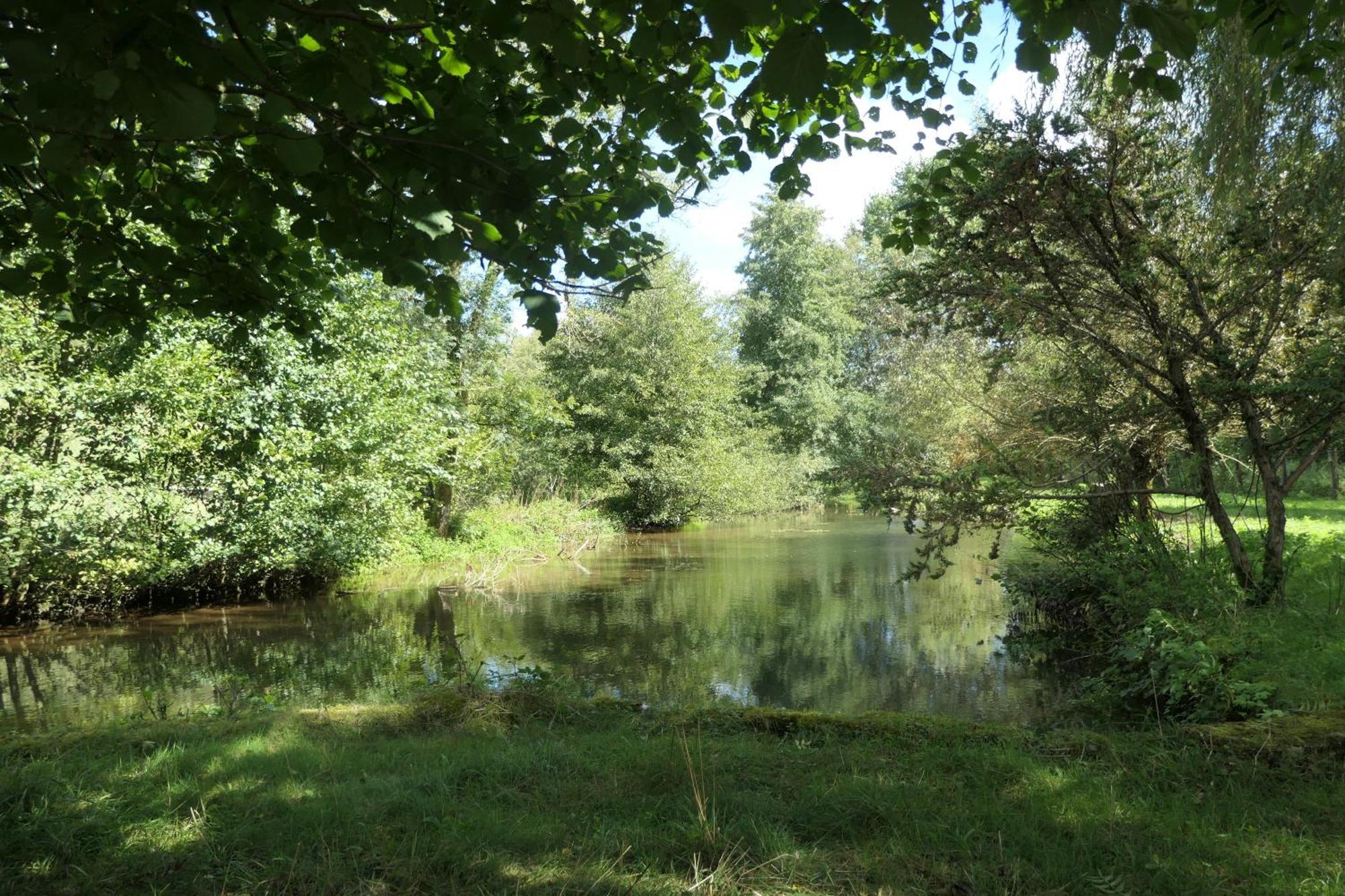 Le Moulin Aux Ecrevisses Bed & Breakfast Thonnance-lès-Joinville Екстериор снимка